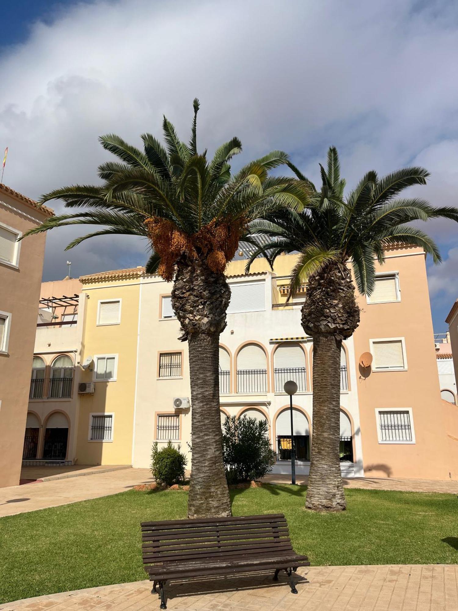 Torrevieja 2 Bedrooms Appartment Ngoại thất bức ảnh